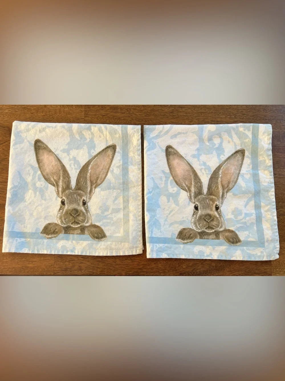 Williams Sonoma Blue and Brown Bunny Cotton Napkin Set 4 pc